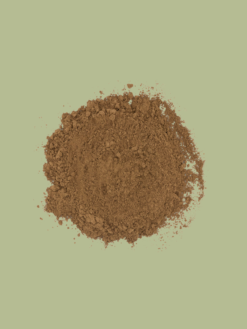 Organic Hojicha | Japanese Green Tea Powder | Kilogram Tea